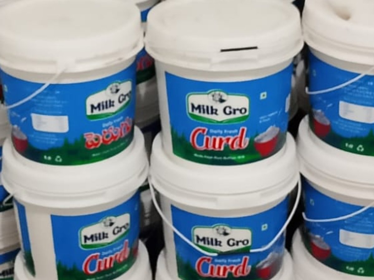 Curd